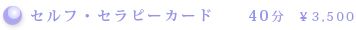 セルフセラピーカード 40分 \3,500